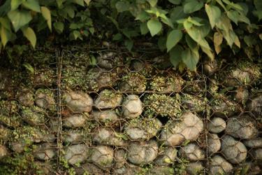 Encapsulated Ceramides Deliver Botanical Barrier Repair